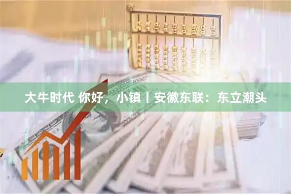 大牛时代 你好，小镇丨安徽东联：东立潮头
