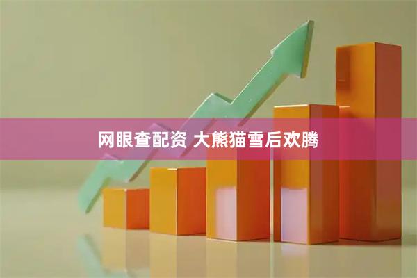 网眼查配资 大熊猫雪后欢腾
